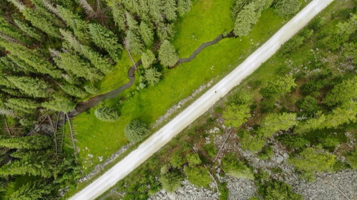 A gravel road and a creek through spruce forest, straight down from a drone.